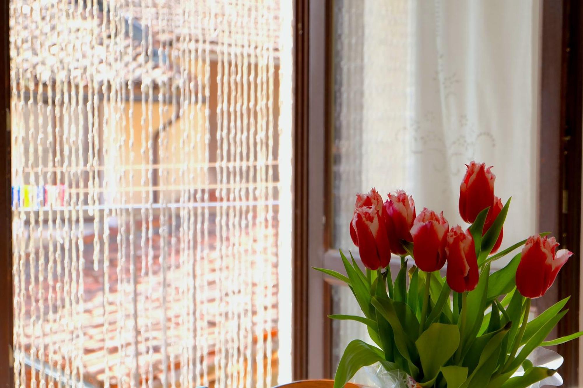 La Ghiacciaia Aparthotel Verzuolo Ngoại thất bức ảnh